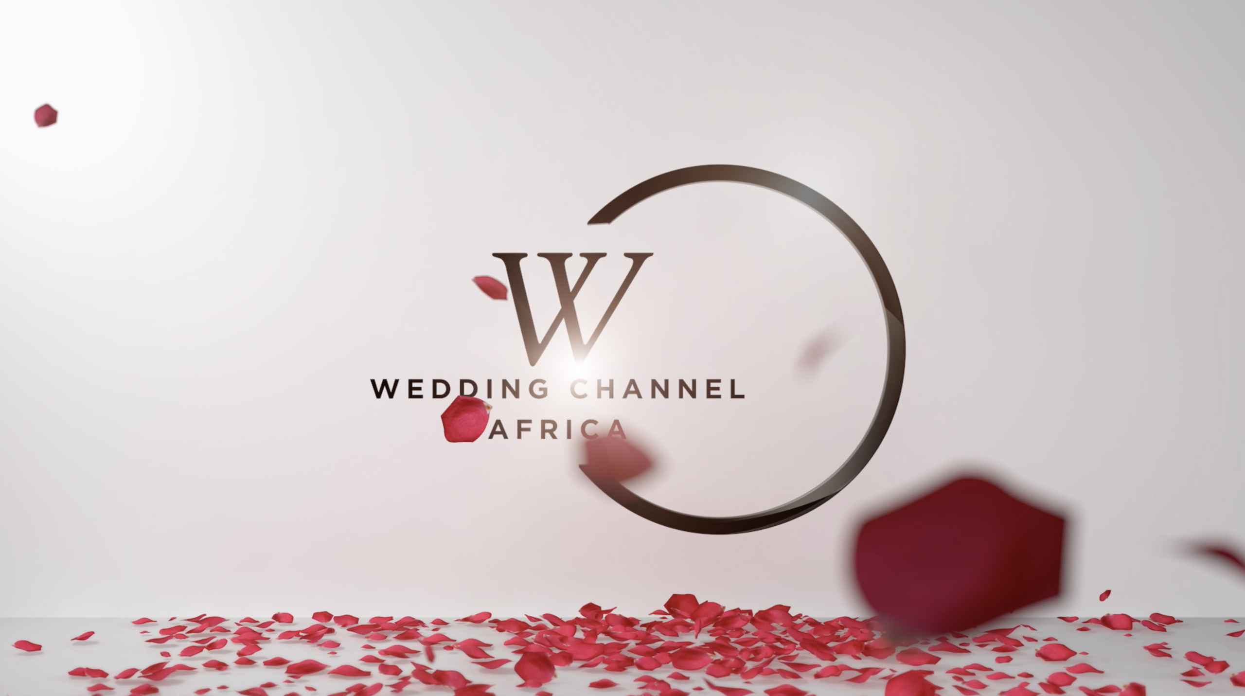 A Traditional Yoruba Wedding Full of Color